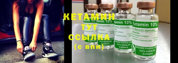 трава Абаза