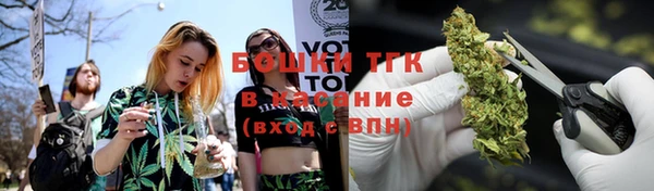 сатива Абинск