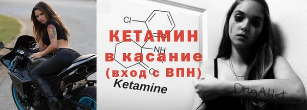 сатива Абинск