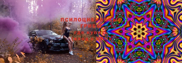 PSILOCYBIN Абдулино