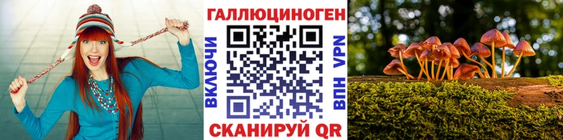Галлюциногенные грибы Psilocybine cubensis  Ангарск 